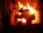 Burning_Wood_3756.jpg