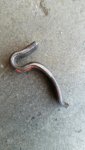 1955 1730 Jacobsen Reel Mower part.jpg 1955 1730 Jacobsen Reel Mower part.jpg