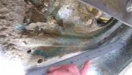 20171209_100004.jpg 20171209_100004.jpg