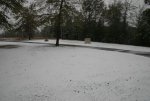 Wigginssnow9.jpg