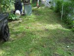Lawn_2891.jpg Lawn_2891.jpg