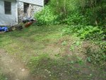 Lawn_2893.jpg Lawn_2893.jpg