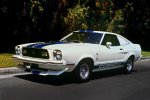 Mustang2.jpg Mustang2.jpg