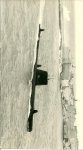 scan0001.jpg
