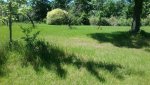 20170501_113752.jpg 20170501_113752.jpg