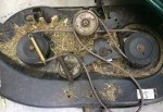 MTD IMG_2025.jpg MTD IMG_2025.jpg