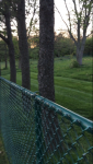IMG_5831.PNG IMG_5831.PNG