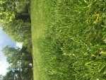 IMG_2913.jpg IMG_2913.jpg