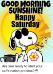 good-morning-sunshine-happy-saturday-are-you-ready-to-start-25300980.png