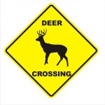 deer crossing.jpg
