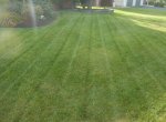 lawn 2.jpg lawn 2.jpg