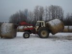 4 bales at the time.jpg