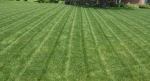 good stripes.PNG good stripes.PNG
