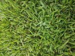 20180804_102133.jpg 20180804_102133.jpg