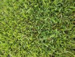 20180804_102137.jpg 20180804_102137.jpg