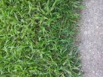 20180804_102151.jpg 20180804_102151.jpg