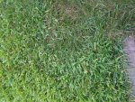 20180804_102207.jpg 20180804_102207.jpg