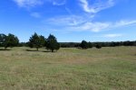 Barton Creek Pasture 1.jpg