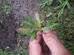 20180809_183851.jpg