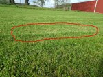 lawn1.jpg lawn1.jpg