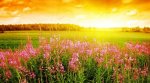 sunrise 46.jpg