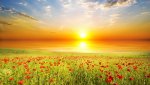 sunrise 48.jpg