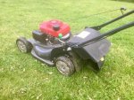 EE79405F-9356-4460-A8FE-F51B85C0AE4E.jpg EE79405F-9356-4460-A8FE-F51B85C0AE4E.jpg