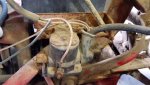 Troy Bilt Solenoid.jpg