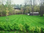 First stripes.jpg