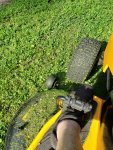 20190701_180745.jpg 20190701_180745.jpg