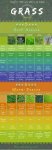 best-types-of-grass-to-plant.jpg best-types-of-grass-to-plant.jpg