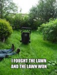 441e1bfb86d41f7487c34293e8293bb4--mowing-grass-grass-mower.jpg