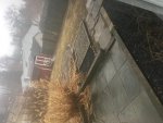 IMG_0132.jpg IMG_0132.jpg