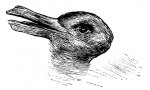 Rabbit-or-duck-illusion-008.jpg