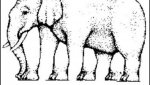 Elephant-Legs-Optical-Illusion-1280x720.jpg