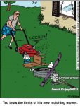gardening-mow_the_lawn-cut_the_grass-mowing_the_grass-cut_the_lawn-lawnmower-jmp060711_low.jpg
