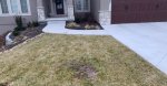 Lawn01.JPG