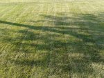 IMG_20130714_185437.jpg