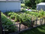 Gardens 2009 038 - Copy.jpg