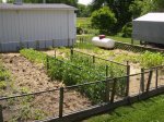 Gardens 2009 037 (Custom).jpg
