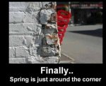 spring is just around the corner.jpg