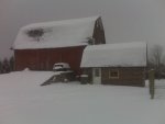 Blackberrypics winter 10 252.jpg