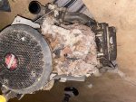 smallmotornest.jpg smallmotornest.jpg