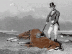 expired equine.gif expired equine.gif