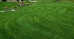 Incline Back Lawn.jpg