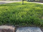 20200507_171009.jpg 20200507_171009.jpg