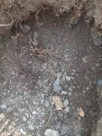soil3.jpg