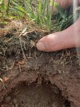 soil7.jpg