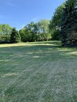 lawn1.jpg lawn1.jpg
