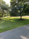 lawn3.jpg lawn3.jpg